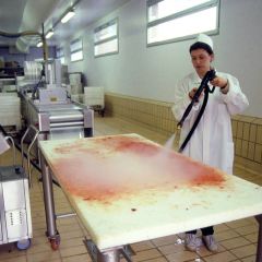 Lavor Gv Etna 4000 Endüstriyel Vakumlu Buharlı Temizlik Makinesi