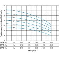 Master 2 MVK 25/7 T Dikey Pompalı Trifaze Hidrofor