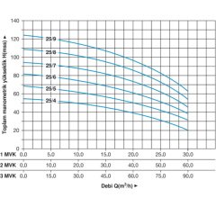 Master 3 MVK 25/5 T Dikey Pompalı Trifaze Hidrofor