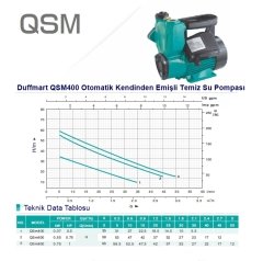 Duffmart QSM400 Kendinden Emişli Sıcak Su Pompası