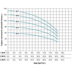 Master 1 MVK 16/4 T Dikey Pompalı Trifaze Hidrofor
