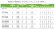 Dab Evoplus B 80/250.40 M Sirkülasyon Pompası