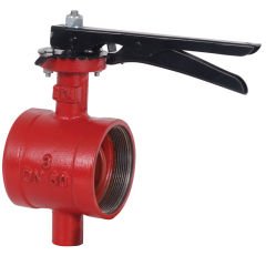 ETM DN100 Döküm Gövdeli İçten Dişli Kelebek Vana 4''