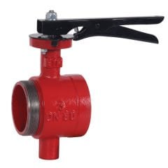 ETM DN80 Döküm Gövdeli İçten-Dıştan Dişli Kelebek Vana 3''